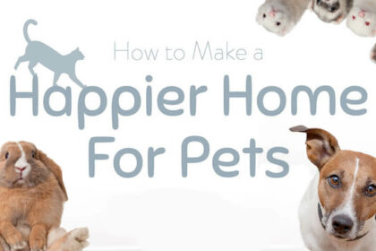 Happier Home for Pets Featured Image