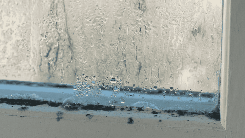 Condensation and mould on a window - Vivid Doors